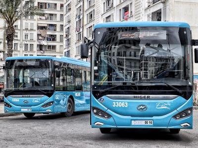 L'Etusa lance 30 nouvelles lignes à Alger et sa périphérie à partir de dimanche