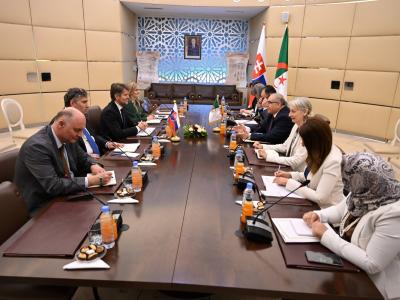 Tenue à Alger de la 3e session des consultations politiques algéro-slovaques