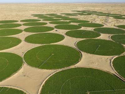 terres-agricoles-sud-22.05.26.jpg