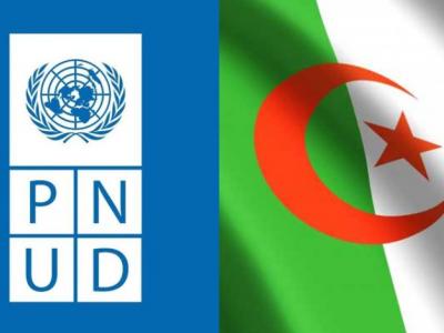 algerie-pnud-mai2026.jpg