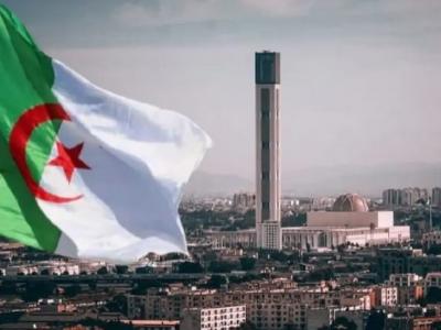 الخليفة العام للفيضة التيجانية بالسنغال يشيد بدور الجزائر في خدمة القرآن ودعم مسار التنمية في إفريقيا