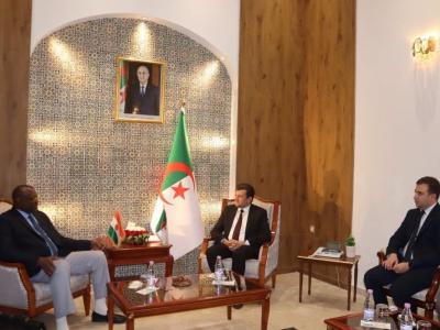 ياسين وليد يبحث مع وزير البيئة النيجري التعاون في مجال التنمية  المستدامة والحفاظ على الموارد الطبيعية