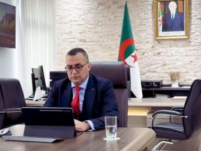 سيد علي زروقي 