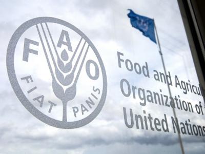 FAO