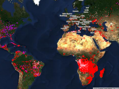 wildfires