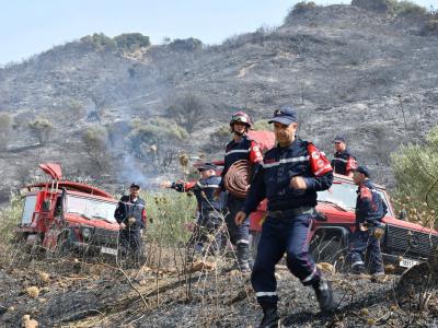 Extinction de 42 incendies sur 43 au cours des dernières 24 heures 