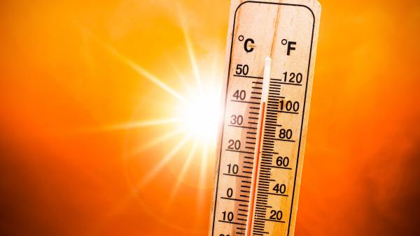 BMS Canicule