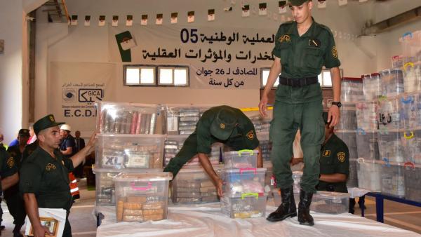 5e opération nationale de destruction de stupéfiants et de substances psychotropes 