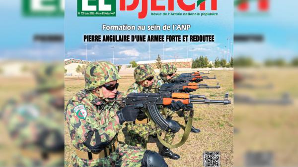 Législatives du 2 juillet Une étape cruciale dans le processus de parachèvement du projet de renouveau de l'Algérie nouvelle et victorieuse