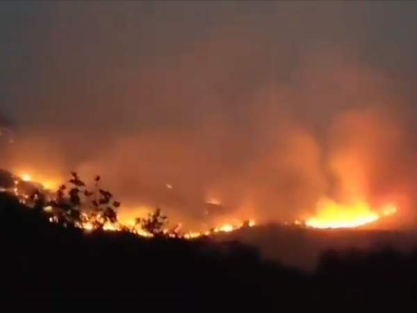 Feux de forets à Sétif