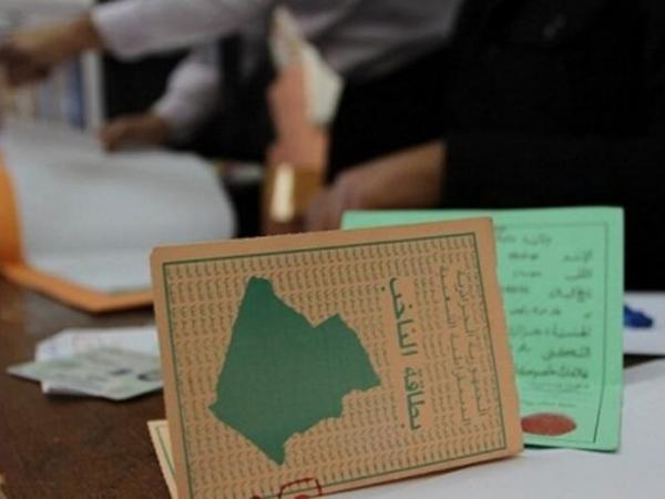 الانتخابات المحلية الجزئية