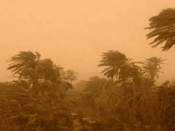 هبوب رياح قوية قد تتجاوز سرعتها 80 كلم/سا على شمال الوطن