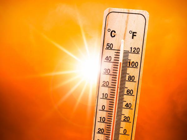 BMS Canicule