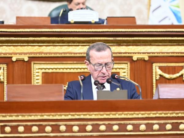 مجلس الأمة: الجزائر تسعى إلى توسيع شراكاتها إلى مجالات أرحب