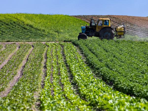 العقار الفلاحي