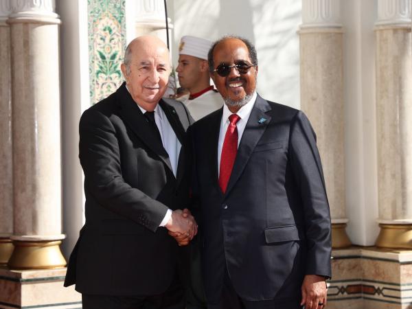 بدور الجزائر في تعزيز السلام و العدالة والتضامن الافريقي