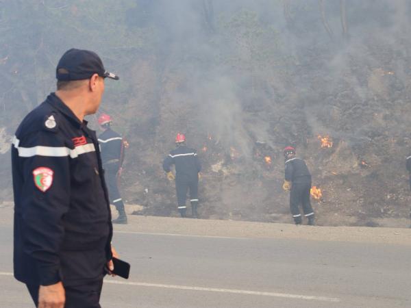 Incendies de forêts à Tipasa : mise en place d’une commission de wilaya pour évaluer les dégâts