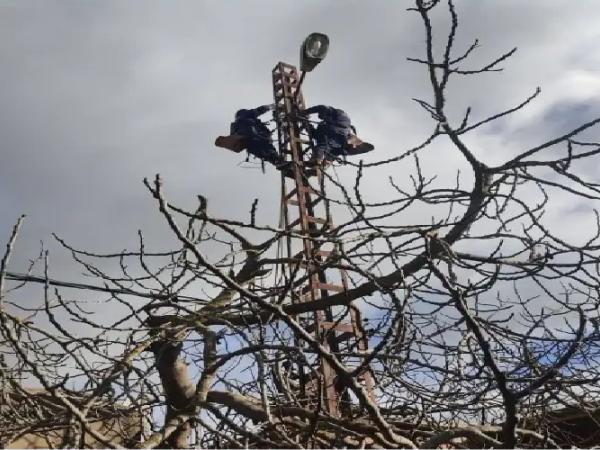 تدخلات متواصلة لرفع مخلّفات الرياح في وسط وغرب الوطن  