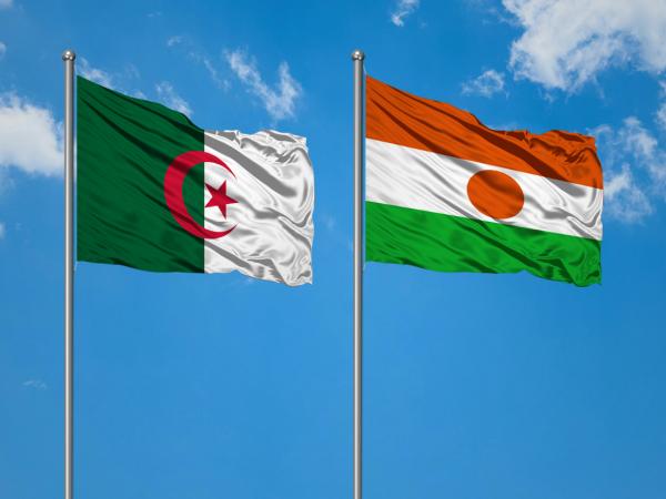 Drapeaux Algérie Niger