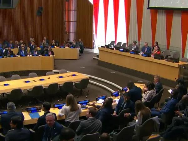 المجلس الاقتصادي والاجتماعي