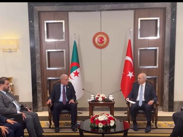 الجزائر تركيا