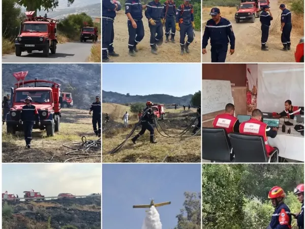 wildfires